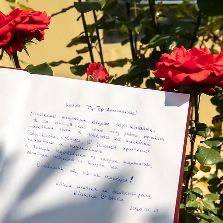 Appartamento Tip-top Ház