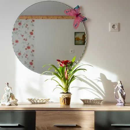 Apartment Tip-top Haz